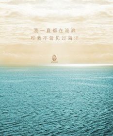 我一直都在流浪可我不曾见过海洋什么歌 残酷月光的歌词