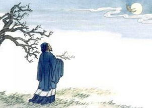 《月夜》诗词赏析