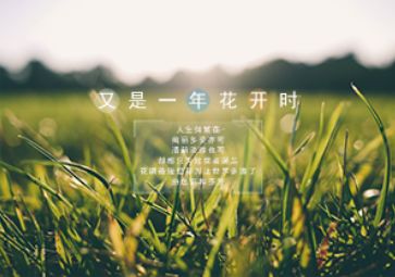 花开花落又是一季的歌词是那首歌的