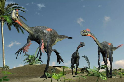 恐龙图片和名字