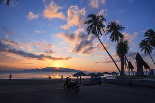 越南是属于哪个国家的