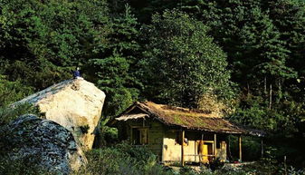 如果在终南山隐居,一个月的普通开销(普通人正常花费)至少在?是在寺庙里