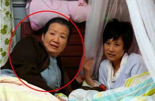 海清主演的所有电视剧有哪些