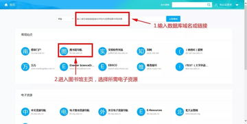 校内网为何登录不了?