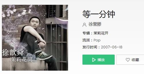 歌词可能年少的心太柔软是什么歌