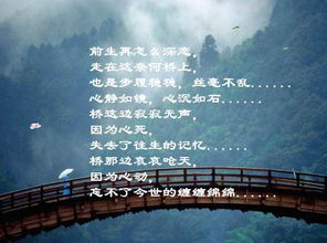 “奈何桥上等三年”的全文是什么?