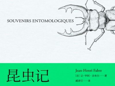 昆虫记主要内容50字左右