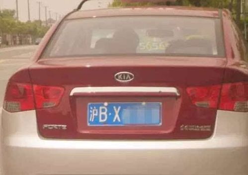 沪是哪里的车牌