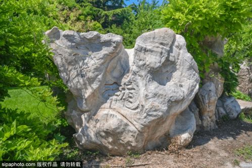 茴香豆的茴字有哪4种写法?