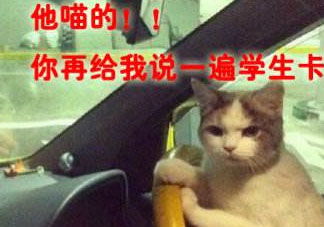 网络用语“开车”是什么意思?