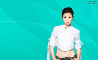 能不能简要概括一下文强案