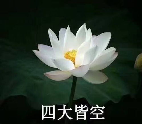 一朵什么如何填空?