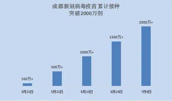 提高政治站位怎么做