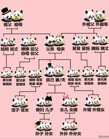 姐姐的老公怎么称呼?