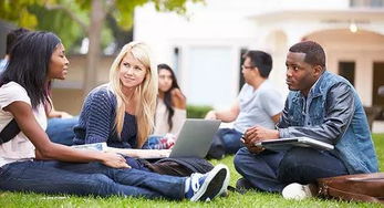 “交换生”是什么意思???