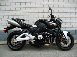 小水兰可以种在土里吗