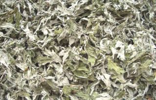 三年陈艾可以加水熏房间吗