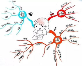 英语思维导图怎么画四年级下册