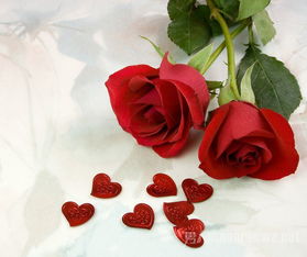 妇女节送什么花最适合礼物