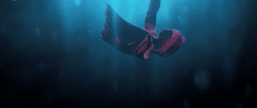 泰尼坦克号片尾曲