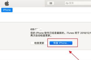 苹果手机显示已停用iphone是啥意思