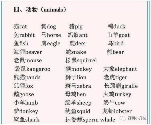 先生,小姐用英语怎么说?