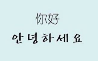 半语是什么意思?