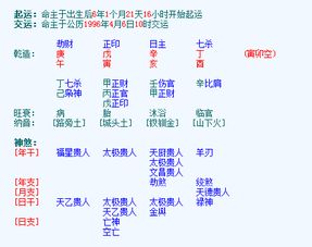元亨利贞八字排盘系统,元亨利贞网四柱八字在线排盘系统解读
