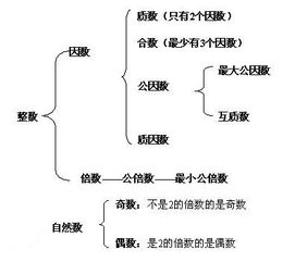 49的因数有哪些 49的因数介绍