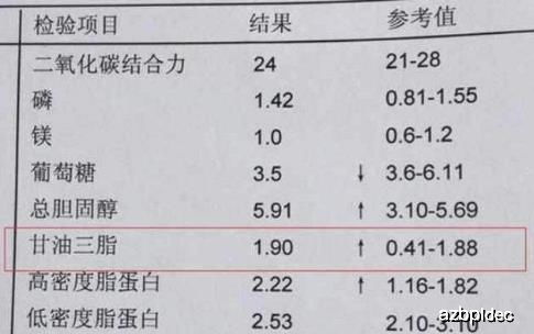 甘油三脂偏高严重吗?