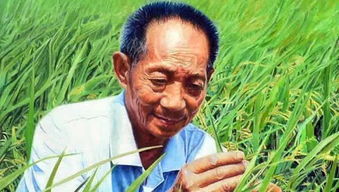 袁隆平简介50字