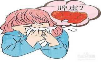 脾虚对身体有什么影响?