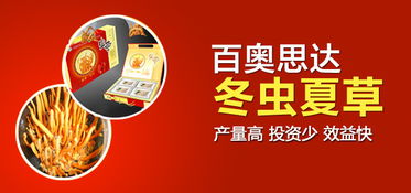 20个农村致富赚钱金点子