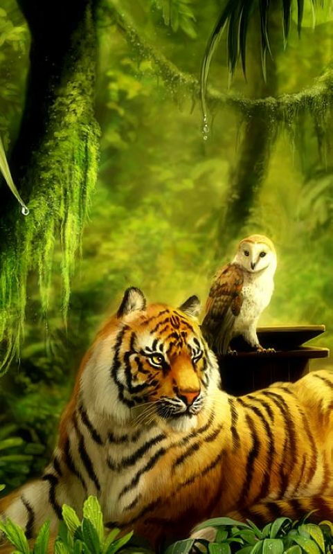 2018年四行英虎玉米收割机割台那里有卖的,多少钱。