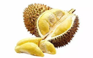 榴莲一个多少斤