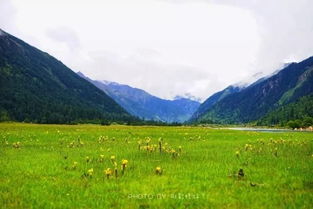 林芝市海拔多少米