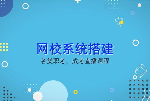 大学生网课分类有哪些