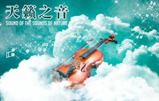 天籁之音是什么意思?