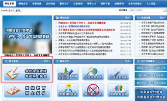 河南省财政厅会计处会计证查询