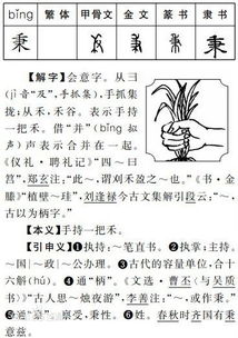秉烛夜游的秉字是什么意思?