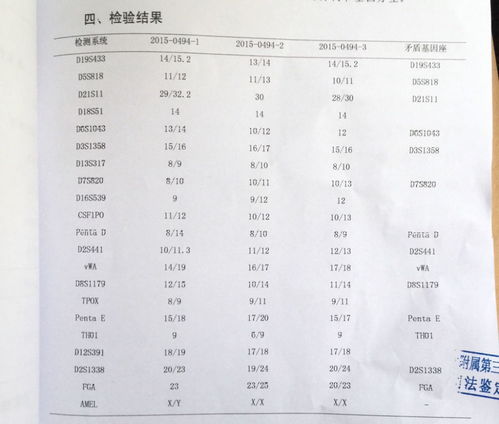 亲子鉴定要多长时间