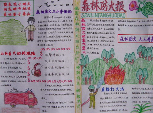 森林防火手抄报怎么画