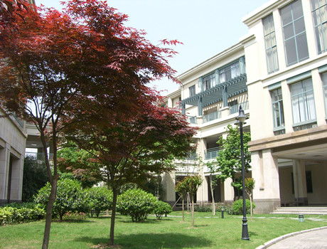 杭州绿城育华学校，杭州绿城育华学校学费