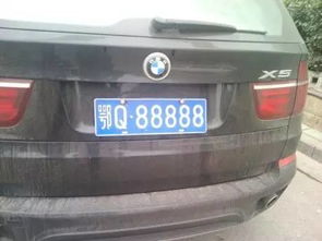 鄂P车牌号代表的是什么省什么市