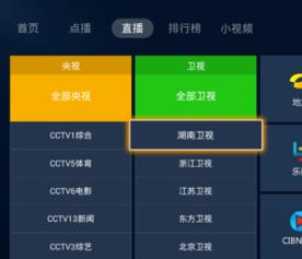 网络电视怎么看电视台节目