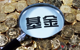 3万买基金10天赚9000元真的吗