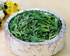 能吃的野菜种类和图片