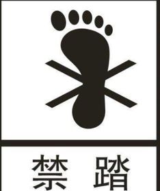 踏的多音字组词是什么?