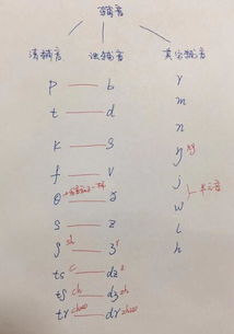 w怎么读音
