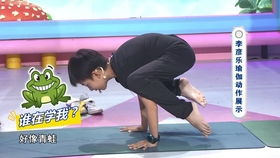 蝙蝠是鸟类还是兽类?